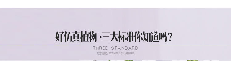 Simulated rubber red maple strips, green maple strips, high-end simulated rubber leaf strips, plastic strips, hand feel, direct sales from the manufacturer of red maple strips pic 18