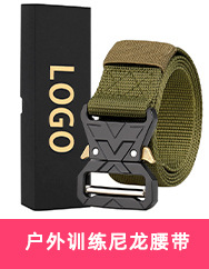 Cross-border bestseller outdoor tactical belt fixing strap, thickened nylon ring, woven strap, four-piece buckle pic 2