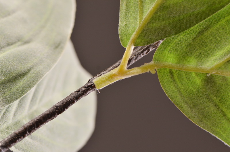 Factory direct sales of artificial leaves, wholesale of flocking artificial paulownia leaves, flower arrangement leaf materials, photography props, artificial green plants pic 11