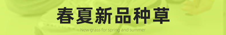 银色老爹鞋女百搭防滑2024夏季运动鞋子女红色透气轻便增高跑步鞋详情1