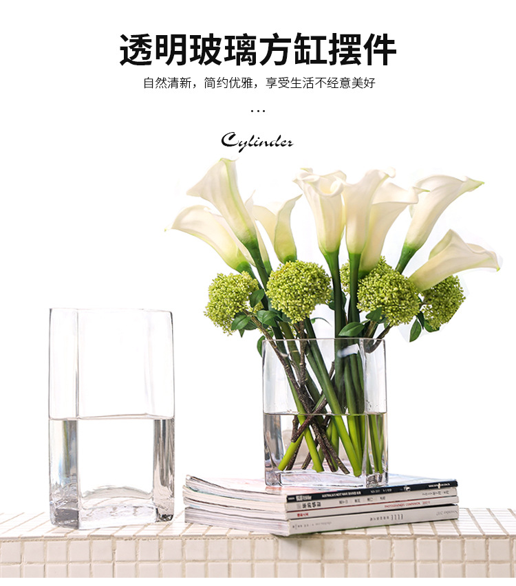 Square VAT glass vase, transparent hydroponic lucky bamboo lily, flat VAT square vase, floral art, living room flower arrangement ornaments pic 2
