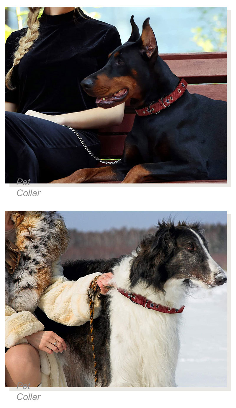 New Amazon cross-border cat collars, dog pet collars, large, medium and small dog walking ropes, collars and pet supplies pic 5