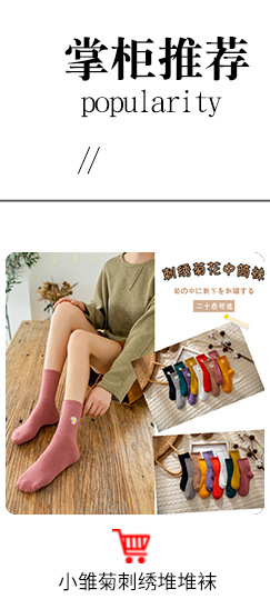 10双装薄款面膜钢丝袜耐穿不勾丝短丝袜袜子天鹅绒丝袜厂家批发详情2