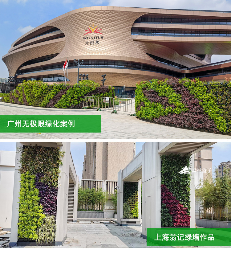 5017实拍_17.jpg