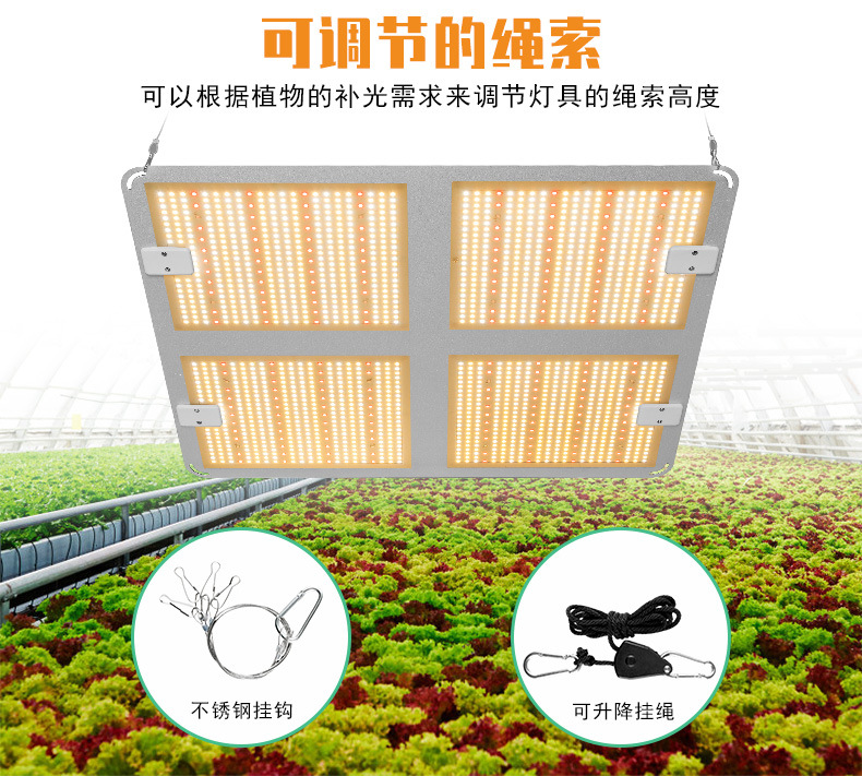 谦润照明100W植物灯LED80W多肉补光2000W温室灯大棚50W大功率400W详情4