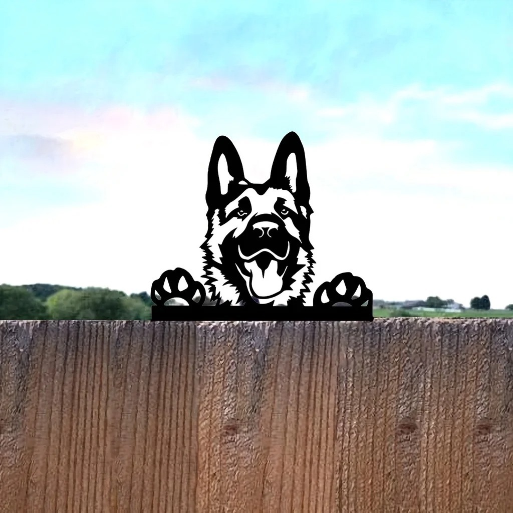 6_S659b29b0c7e344968197a2262b2