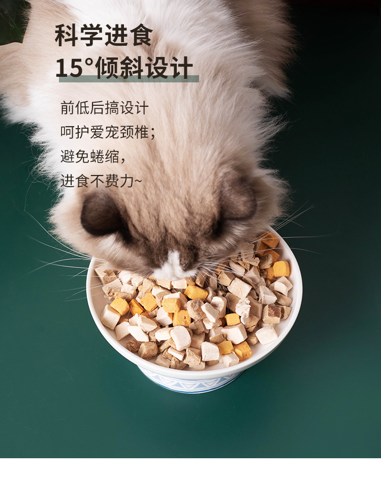 亚马逊陶瓷猫碗高脚护颈椎猫粮碗猫盆饮水碗宠物零食碗波西米亚风详情5