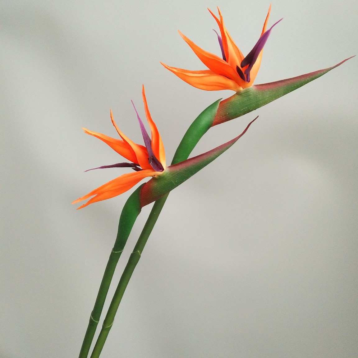 Soft rubber paradise Bird Crane Orchid New Chinese-style home model room decoration design, overseas wedding photography artificial flower pic 10