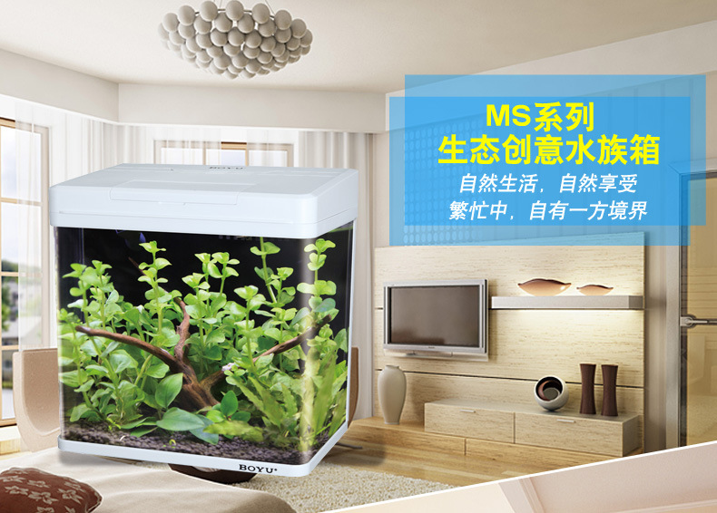 Wholesale BOYU fish tank aquarium mini office small glass fish tank MS series white pic 7