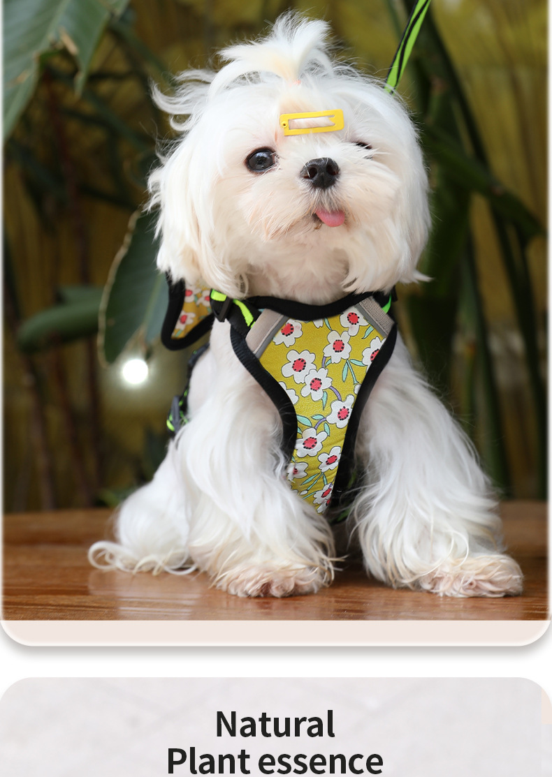 跨境新品宠物胸背带背心式猫咪小型犬安全防挣脱胸背牵引绳厂批发详情18