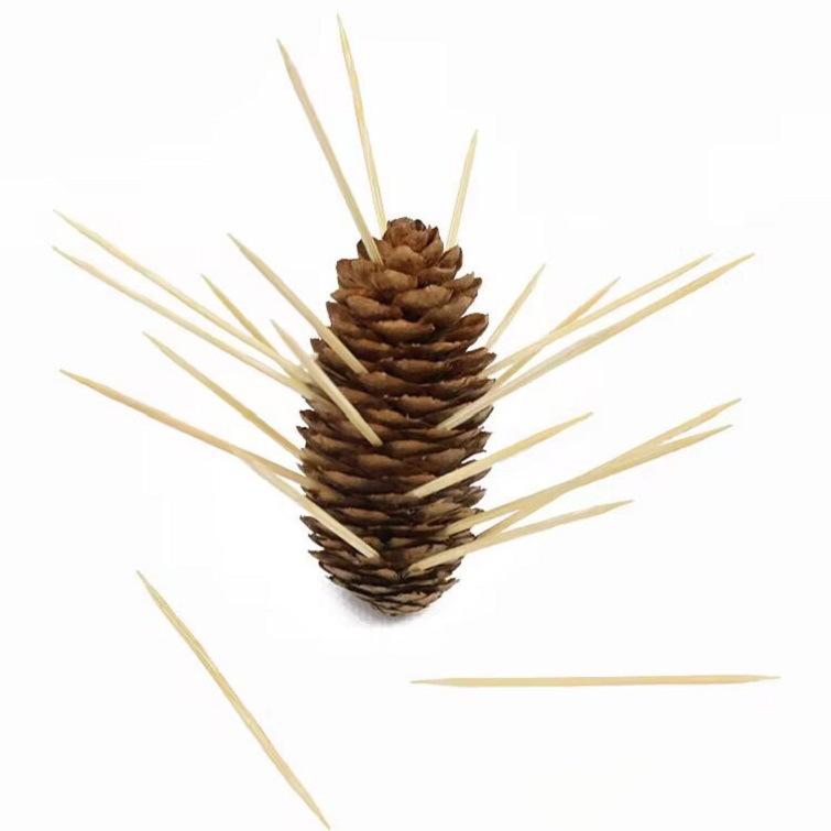 Double-headed bagged long toothpicks, tea bamboo toothpicks, wholesale portable disposable household toothpicks, hotel toothpicks pic 4