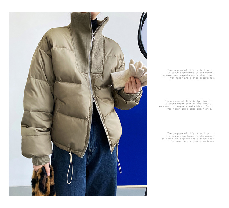 Luxi 2022 New Design sense stand-up collar short Down jacket for petite women 90, white duck down jacket Y33 pic 41