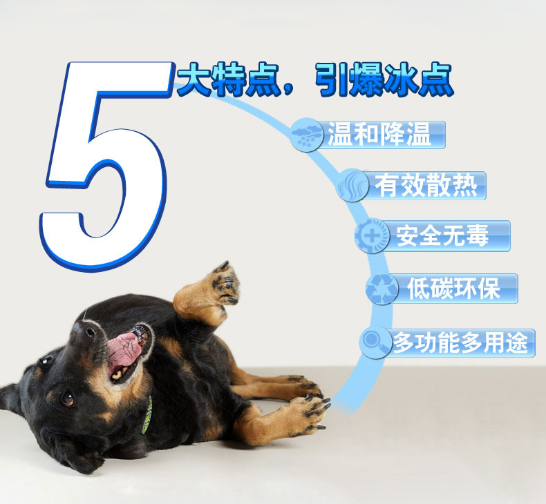 Factory direct sales of pet ice pads, teddy bed beds, cooling pads, pet ice pads and sponge pads pic 6