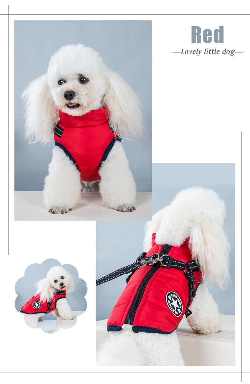 Nueva llegada amazon cross border dog clothing pecho espalda una pieza chaleco de algodón pet cotton clothing winter clothing two feet cotton clothing pic 14