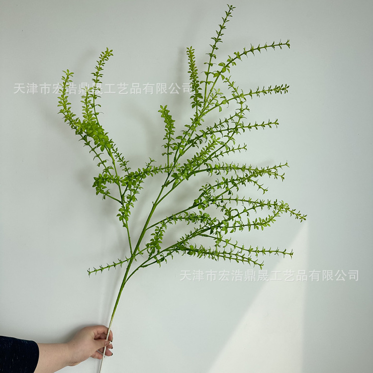 微信图片_202304021450457_副本