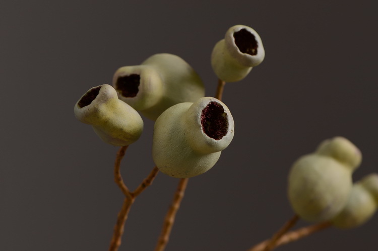 Dongli Flower Industry, the original manufacturer, is now wholeselling vintage decorative pipe fruit artificial flowers, artificial flowers, table flowers, artificial berries, zombie fruits, eucalyptus fruits, and offers one-piece consignment pic 20