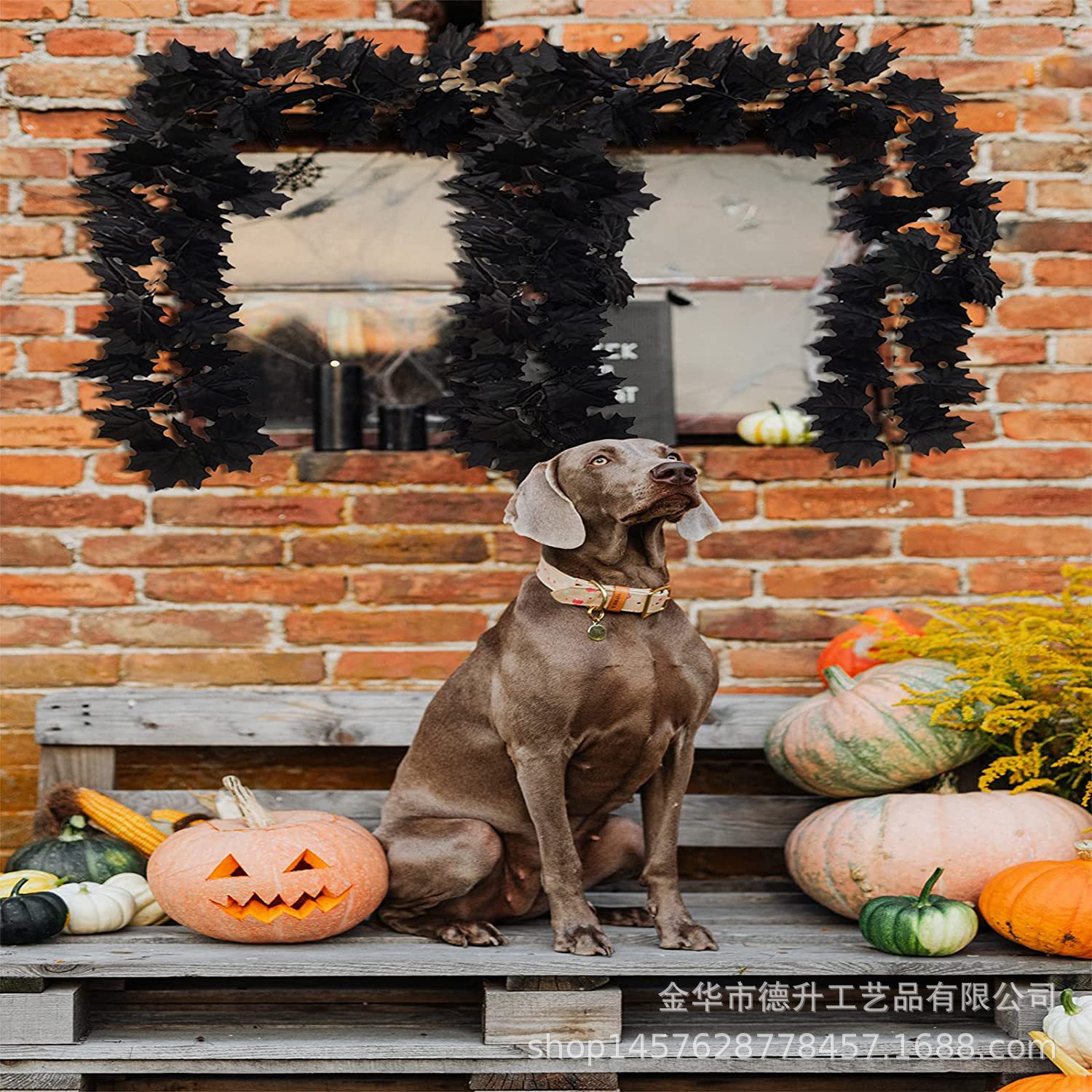 Cross-border Amazon Halloween maple leaf simulation black leaf vine sunflower Sunflower vine Halloween decoration pic 7