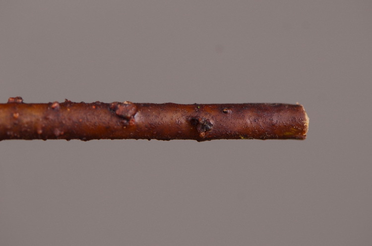 Factory direct sales, wholesale of in-stock inventory of artificial large needle cushion flowers, artificial flower sets, wholesale of living room, dining table, entrance hall, desktop decoration, flower arrangement and ornaments pic 17