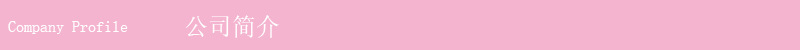 公司简介 拷贝