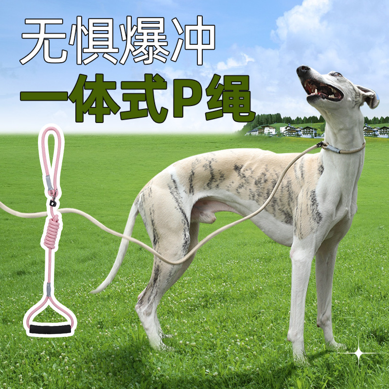 Venta directa de fábrica ocho cuerdas de tracción de mascotas para perros collar trenzado a prueba de explosiones correa de tracción de nylon cuerda de perro al por mayor pic 4