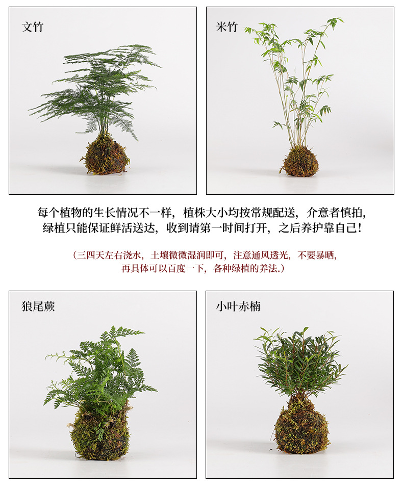 生态缸古法养鱼开口陶瓷罐流水摆件循环过滤配件庭院花园造景diy详情15