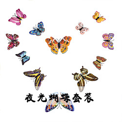 夜光蝴蝶套装