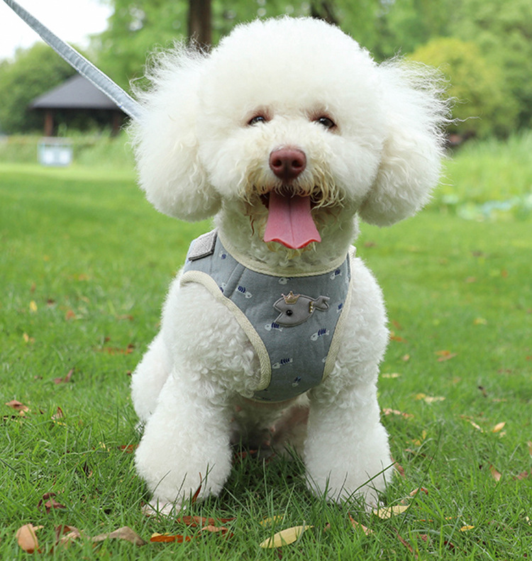 Pet supplies, pet supplies, pet chest and back strap manufacturer wholesale Japanese bow dog leash, vest dog chest and back strap, dog leash pic 4