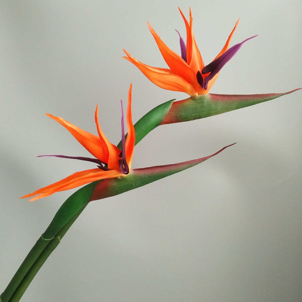 Soft rubber paradise Bird Crane Orchid New Chinese-style home model room decoration design, overseas wedding photography artificial flower pic 13