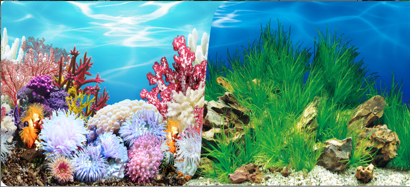 60cm double-sided thick fish tank background painting aquarium decoration background painting can be customized for multiple types of aquariums pic 9