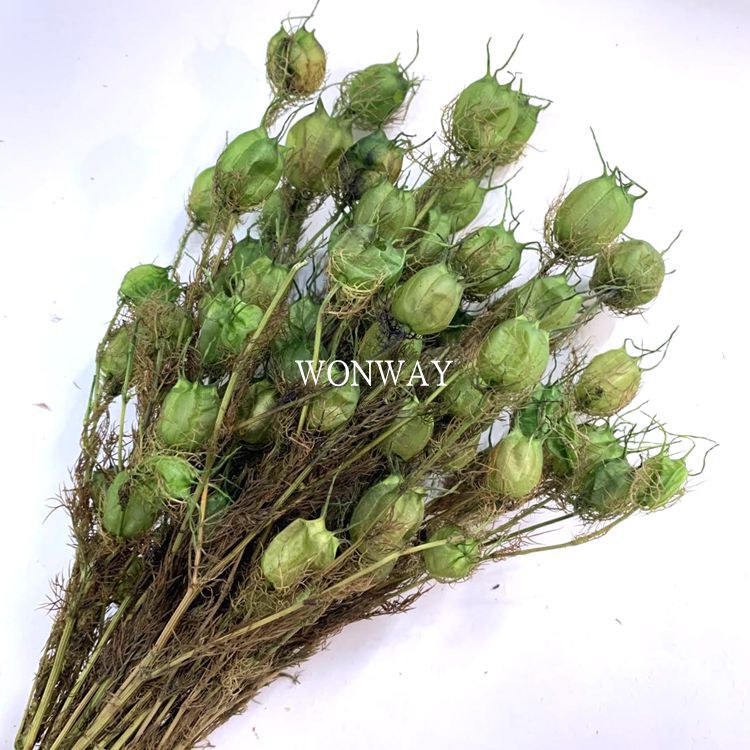 Eternal preservation leaves, cotton, wool, water Perilla and rose, specially designed for flower shop handicrafts pic 8