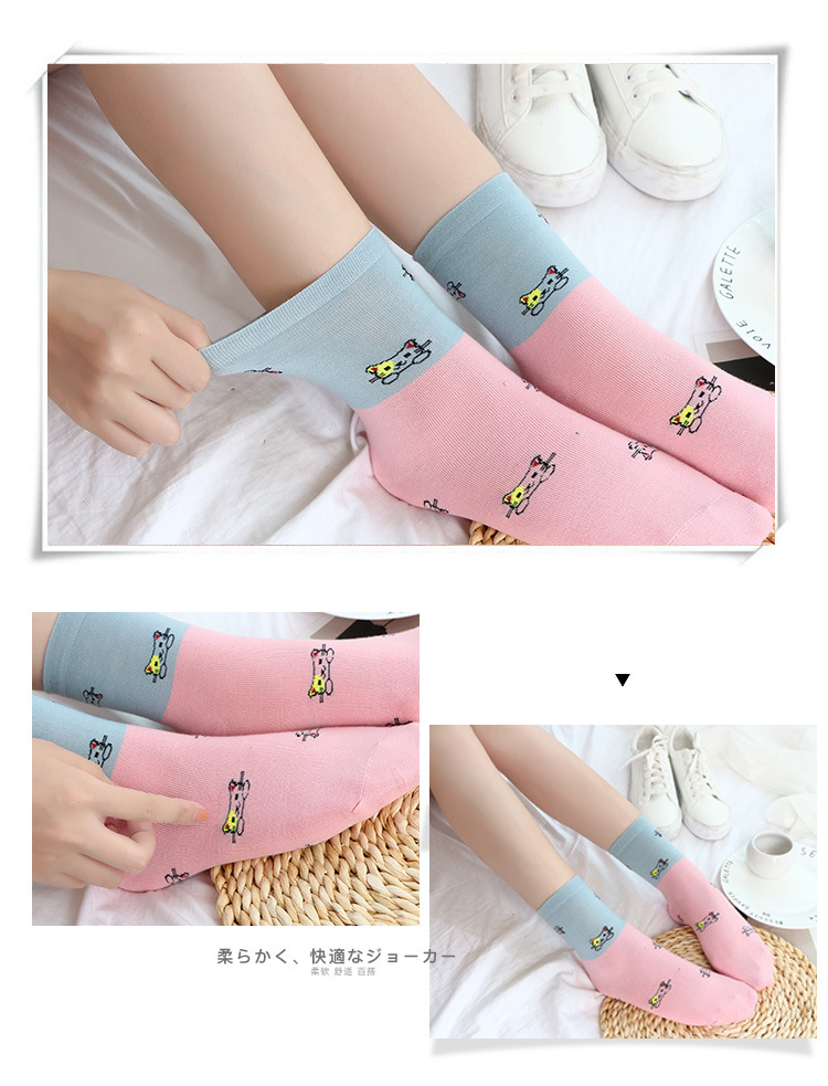 Otoño invierno nuevos calcetines de mujer day set candy color tubo medio calcetines de algodón de mujer noreste calcetines de mujer fábrica lote recto pic 8