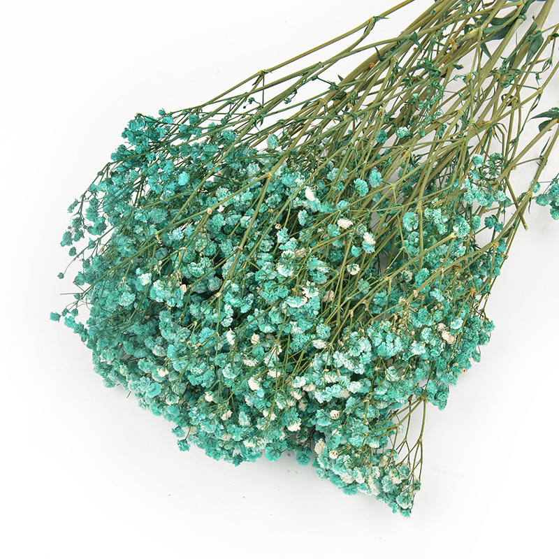 永生花满天星批发吸色满天星干花花束婚庆手捧花家居装饰插花花材                              详情15