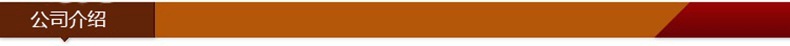 公司介绍