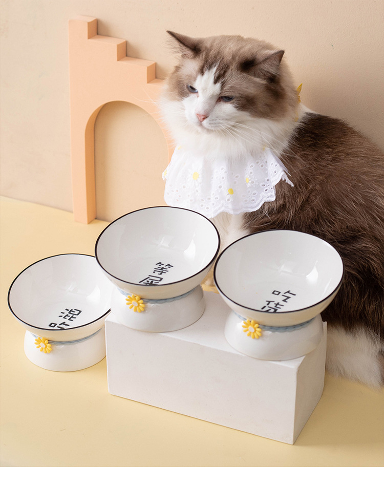 Ceramic cat and dog bowls, pet bowls, creative text, slanted mouth, high feet to protect the cervical vertebrae and prevent black chins, cat and dog food bowls pic 13