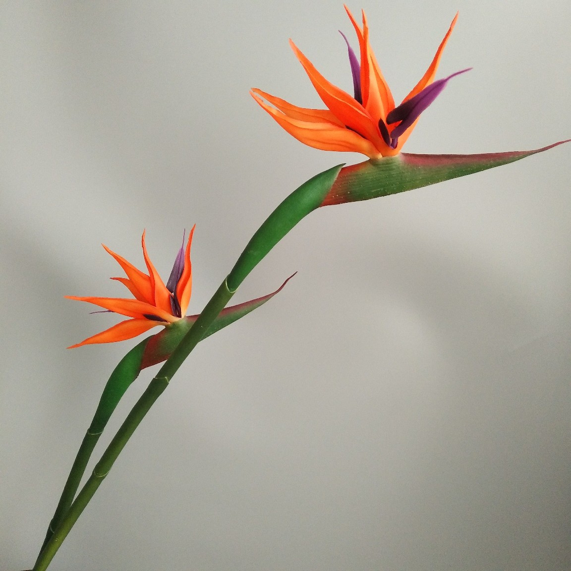 Soft rubber paradise Bird Crane Orchid New Chinese-style home model room decoration design, overseas wedding photography artificial flower pic 28