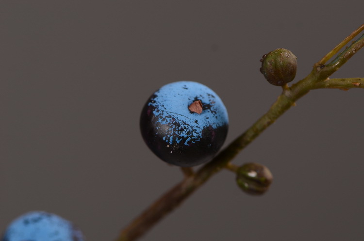 Artificial rosehip, artificial plant fruit, berry, American decorative floral arrangement materials, photography props pic 22