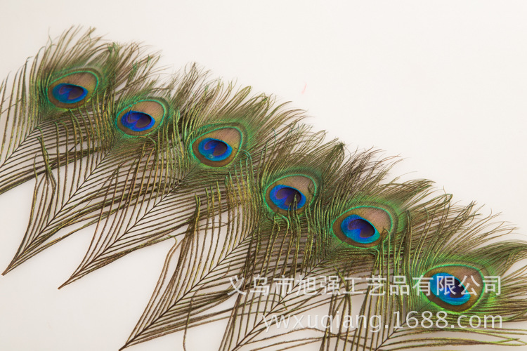 现货批发25-130cm孔雀羽毛 天然大眼睛孔雀毛diy手工饰品头饰装饰详情20