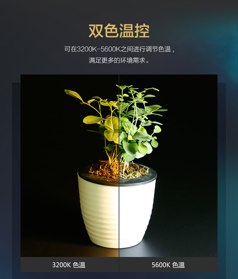 Fengbiao SL-192AI 19.5W fill light, built-in battery, photography light, beauty, portable phone fill light pic 6