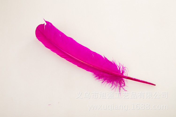 供应工艺小直式羽毛 羽毛批发 义乌diy羽毛火鸡毛大飘羽毛详情20