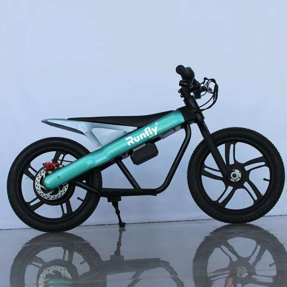 RUNFLYTECH 16INCH CHILD BALANC