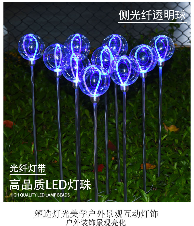 侧光纤透明圆球地插灯芦苇灯户外庭院装饰彩灯防水美陈亮化草坪灯详情2