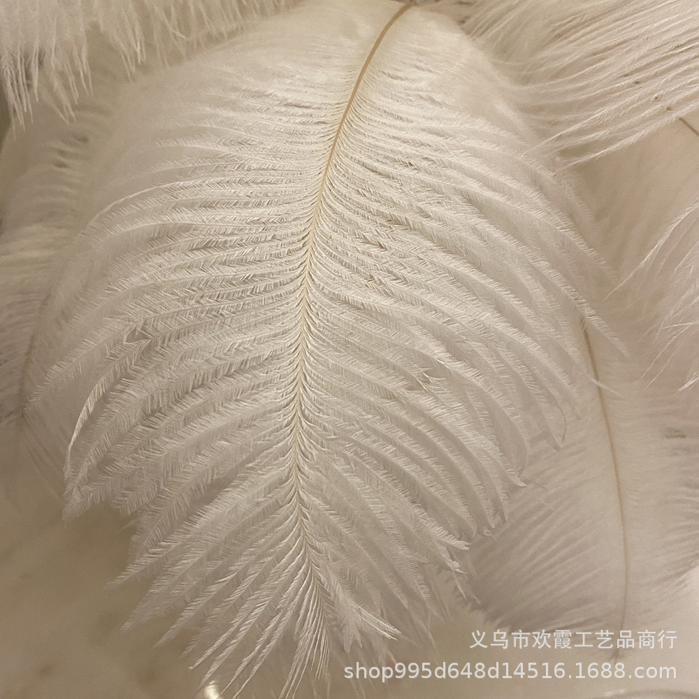 Rechargeable ostrich feather desk lamp, bedroom bedside lamp, creative Nordic light luxury romantic night lamp, warm decorative desk lamp pic 8
