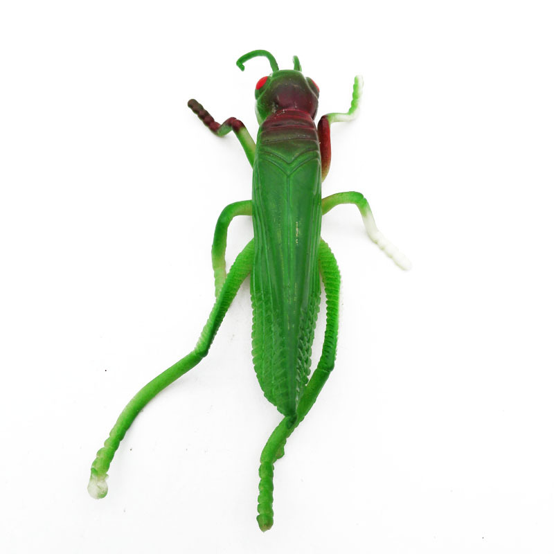 B1545 simulated grasshopper street stall intimidation and prank toys are available for wholesale at 2-yuan stores in Yiwu pic 7