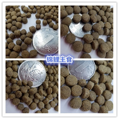 水族鱼缸观赏鱼饲料锦鲤饲料金鱼颗粒袋装饲料乌龟颗粒详情9