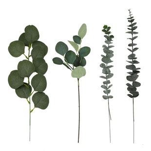 单枝带果尤加利叶 插花diy装饰仿真金钱叶 装饰带果桉树叶跨境详情5