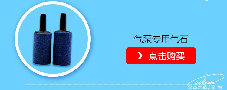 中大型水族鱼缸增氧泵大气量充氧机双孔氧气泵养鱼增氧详情35