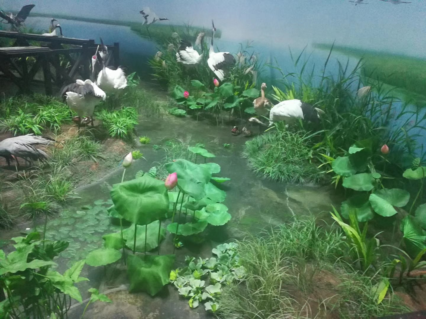 Bionic reed, pink muhly grass, sunny grass, indoor decorative green plants, potted plants, simulation plants, wedding props, decorative dogtail grass pic 25