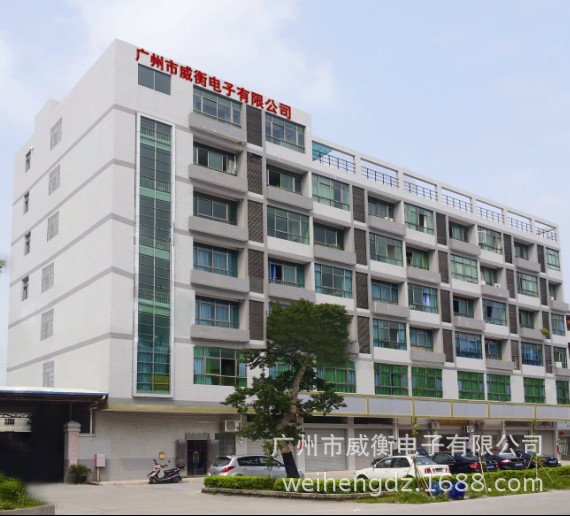 WeiHeng Keychain portable Scale WH-A21 mini Electronic Scale Mini electronic portable scale can weigh up to 25kg per jin pic 1