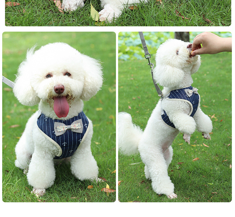 Pet supplies, pet supplies, pet cat supplies, anti-break, breathable, adjustable cat chest and back straps, vest-type cat leashes, cat lashes pic 13