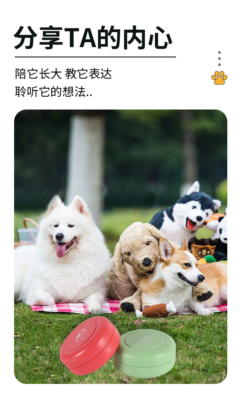 录音猫咪挤压发声玩具IC芯片控制CE认证外贸热销一键录音功能按钮详情2